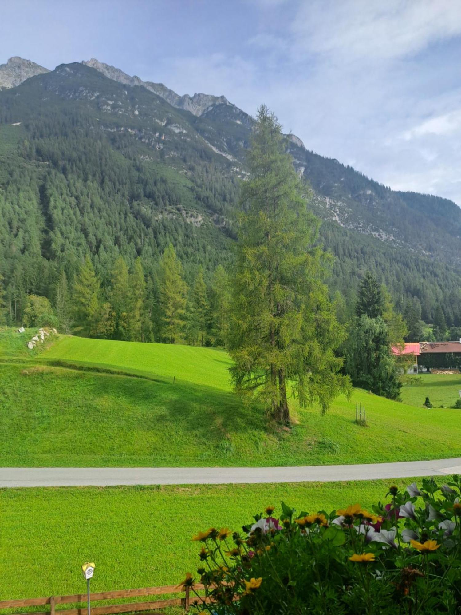 Landgasthaus Appartement Birkegg Leutasch Exterior photo